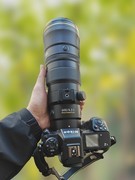 记录鸟飞翔的瞬间 尼康Z9+Z600mm f/6.3 VR S镜头生态摄影体验