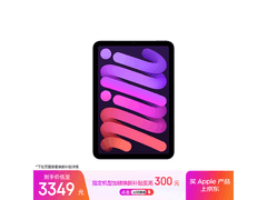 Apple iPad mini 7紫色款到手仅2819元