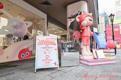「熊心豆志」萌力觉醒，华硕a豆x13DE MARZO联名礼盒开售、限时开启主题快闪