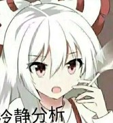 托拉姆物语：抗性枪生存流攻略