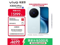 vivo X300 Pro 12GB+256GB自在蓝热卖特惠
