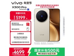 vivo X300 Pro 5G旷野棕特惠