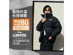 李宁火锅羽绒服XL码，京东309元带回家