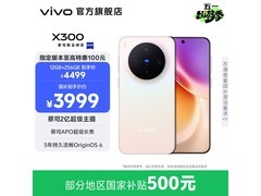 vivo X300 12GB+256GB幸运彩到手4176元