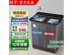 扬子15公斤双桶洗衣机特惠