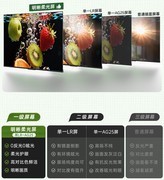 2026年性价比电视怎么选？四款4000-6000元Mini LED横向对比