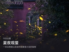 城市也能追萤光，AppGallery带你发现盛夏夜晚限定的浪漫