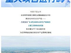 合肥新站高新区全球首条无掩模高世代AMOLED产线封顶
