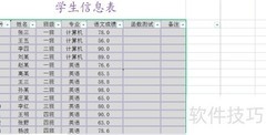 表格美化技巧：简洁高效整理