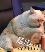 阴阳师萌新入坑攻略