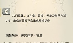 暴走英雄坛伊贺体术领悟攻略