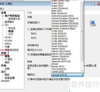 Xshell问题解决技巧