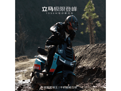 立马极限登峰浅塔灰电动车京东直降千元