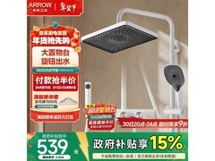 箭牌四功能花洒套装今晚京东五折疯抢