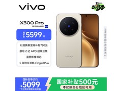 vivo X300 Pro 12+256G旷野棕国补后4671元