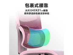 Ergomax Orion2樱桃粉人体工学椅直降500