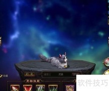 剑雨江湖灵猫进阶攻略