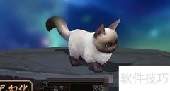 剑雨江湖灵猫开启方法