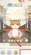 灵猫传升级攻略