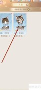 灵猫传升星攻略