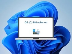 Windows 11默认加密致用户3TB数据永久丢失