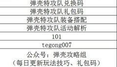 弹壳特攻队技能搭配全解析