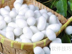 蚕丝变丝绸的制作过程