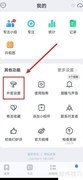 飞鱼计划绿色外观设置指南