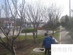 人行道绿化新方案