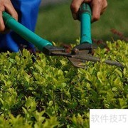 绿化养护：守护绿色家园