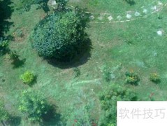小区绿化养护技巧