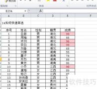EXCEL快速筛选技巧