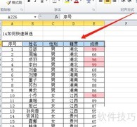 EXCEL快速筛选技巧