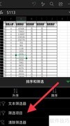 Excel筛选项目技巧