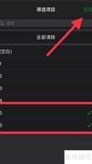 Excel筛选项目技巧