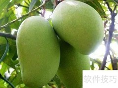 误食绿化芒果如何应对