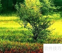 绿化助力环境改善