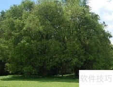 绿化助力环境改善
