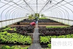 立体绿化实施技巧