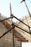 立体绿化实施技巧