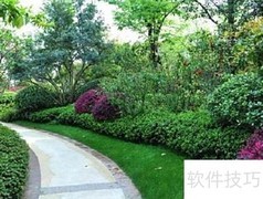 小区绿化养护妙招