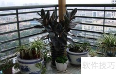 家里绿化布置技巧