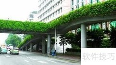 立交桥绿化新方案