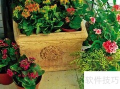 家里绿化布置技巧