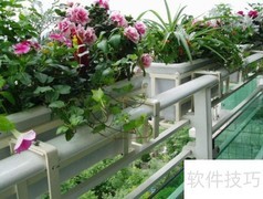 家里绿化布置技巧