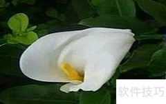 绿色生活，从身边开始