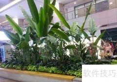 室内绿化小技巧