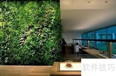室内绿化小技巧