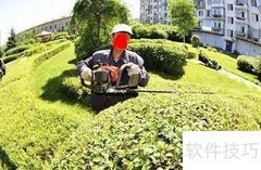城市绿化升级新策略