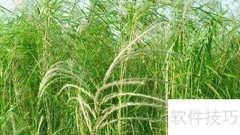 水生植物净化水质绿化环境